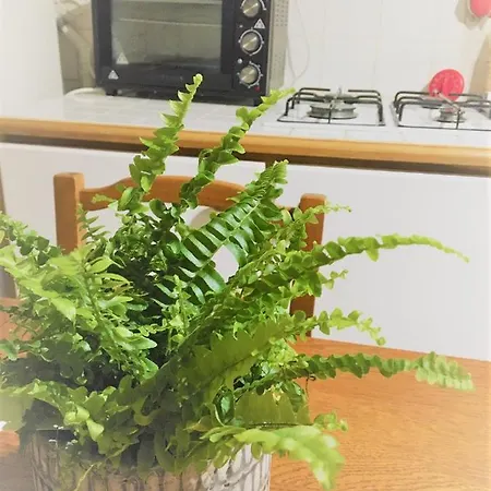 Дом отдыха Les Du Hameau Des Deux Ailes Пресинье