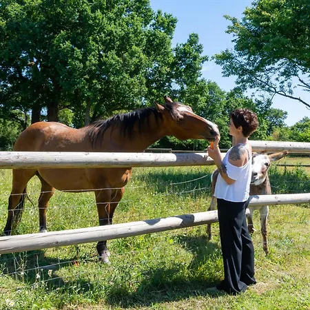 Les Du Hameau Des Deux Ailes Дом отдыха Пресинье