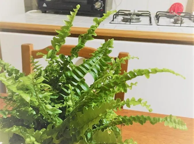 Prázdninový dům Les Du Hameau Des Deux Ailes Précigné