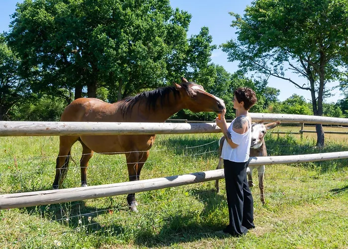 Les Du Hameau Des Deux Ailes Prázdninový dům Précigné